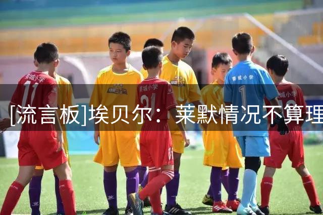 [流言板]埃贝尔：莱默情况不算理想，没法给出关于他恢复周期的答复